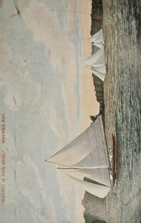 Maumee Bay Postcard, Toledo, Ohio - Vintage Postcard