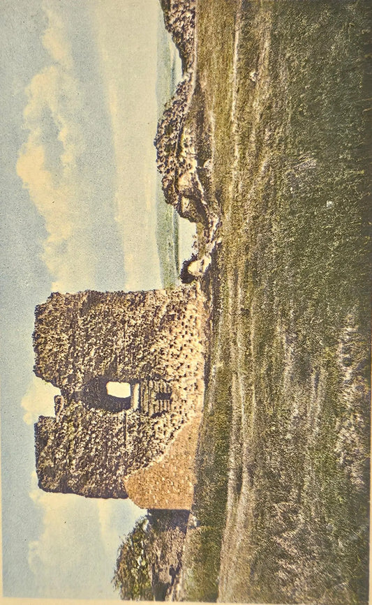 Kalo Sots Ruin, Denmark - Vintage International Postcard
