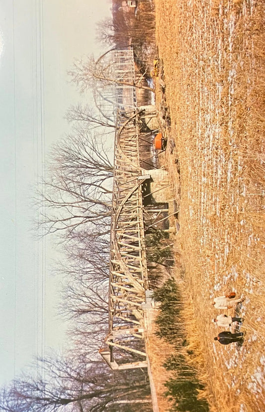 Freedom Covered Bridge in Freedom Village, Indiana - Photo: Henry Gray - Vintage 1960s Covered Bridge Postcard