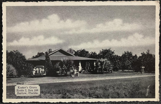 Kester’s Grove Route 2, Box 106 Bartow, Florida - Vintage Orchard Postcard