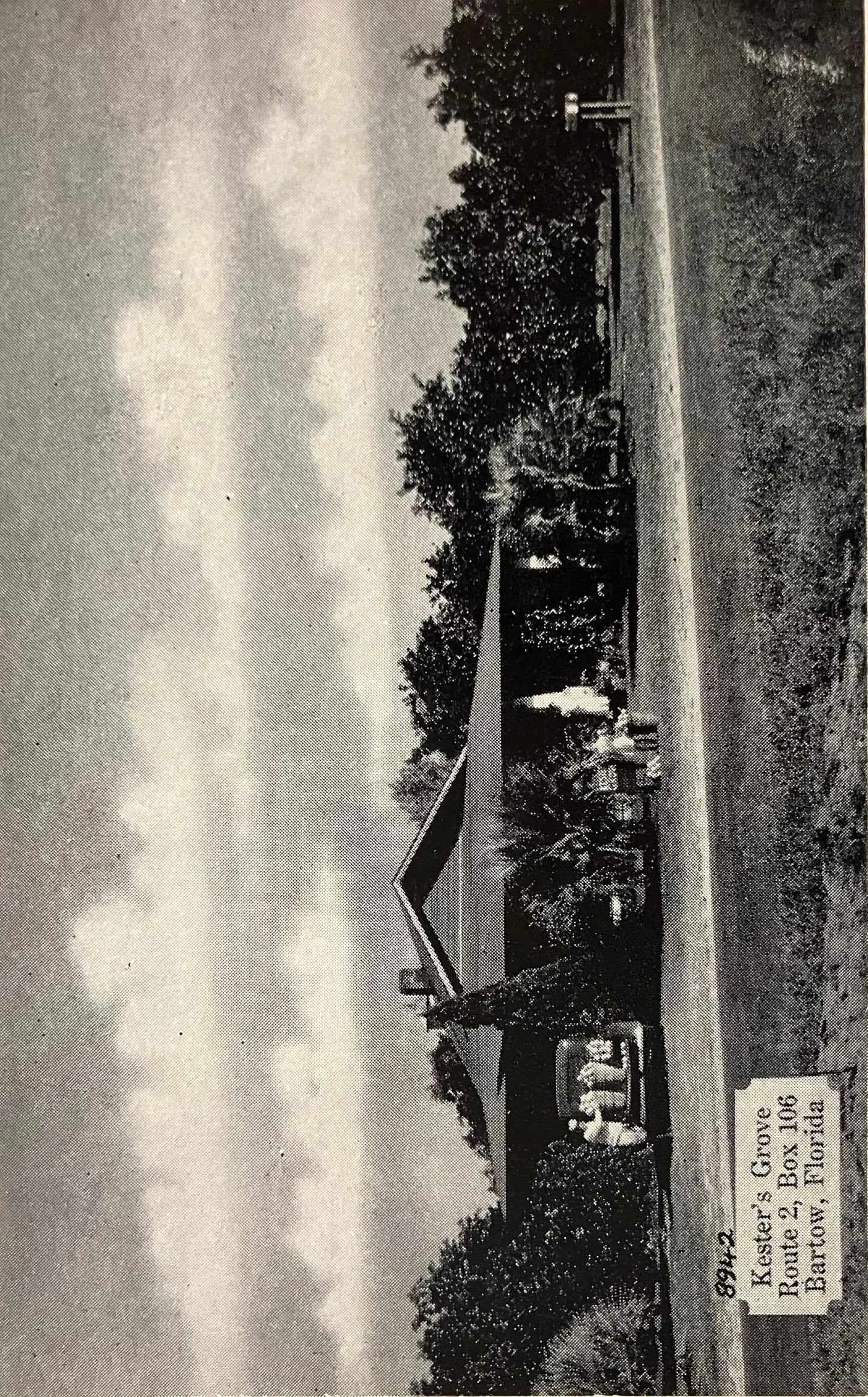 Kester’s Grove Route 2, Box 106 Bartow, Florida - Vintage Orchard Postcard