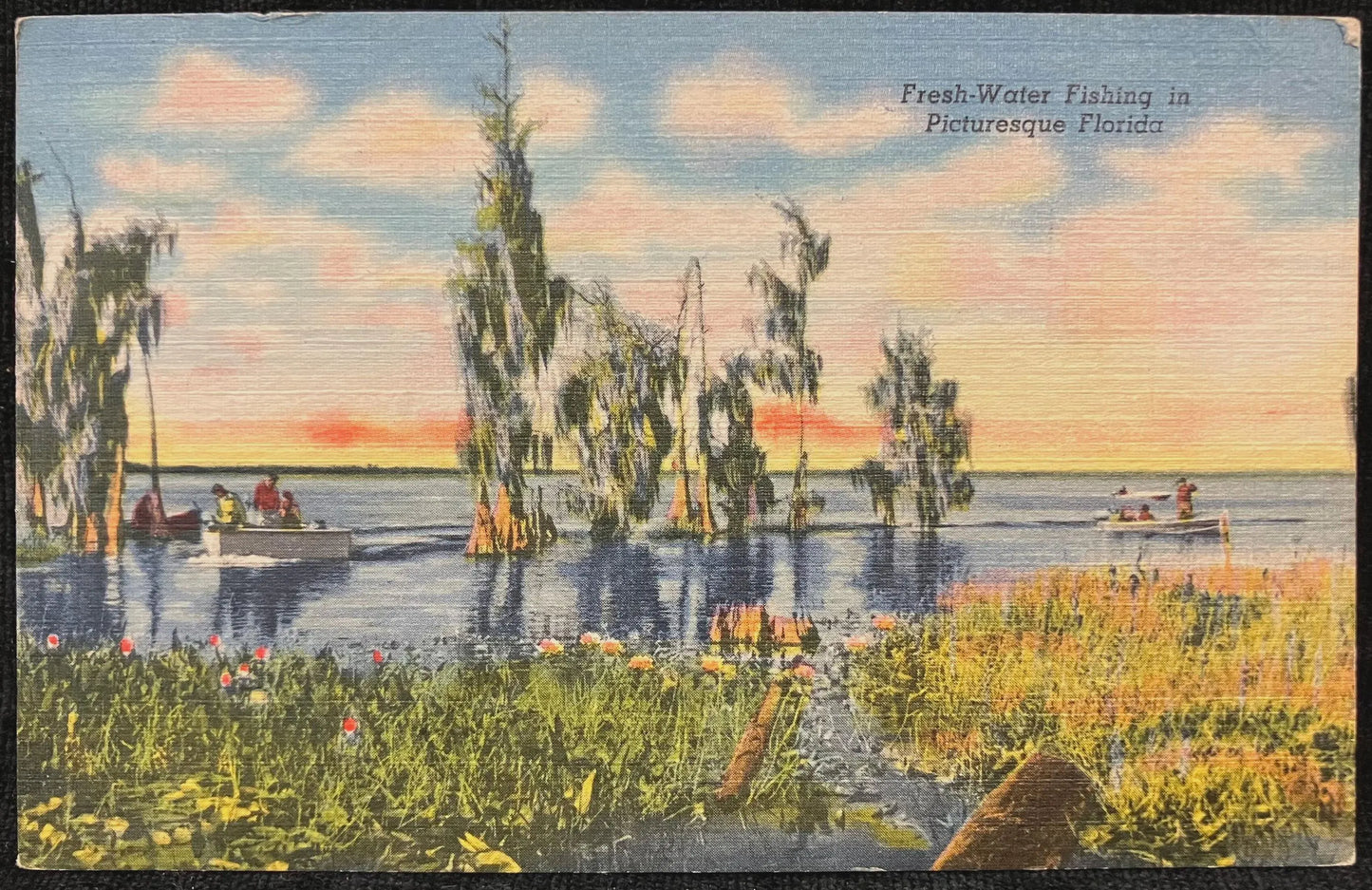 Fresh-Water Fishing in Picturesque Florida  - Two Stamps - Vintage Nature Postcard