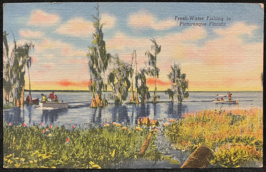 Fresh-Water Fishing in Picturesque Florida  - Two Stamps - Vintage Nature Postcard