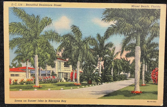 Beautiful Residence Street - Scene on the Sunset Isles in Biscayne Bay - Miami Beach, Florida - Vintage Sunset Postcard