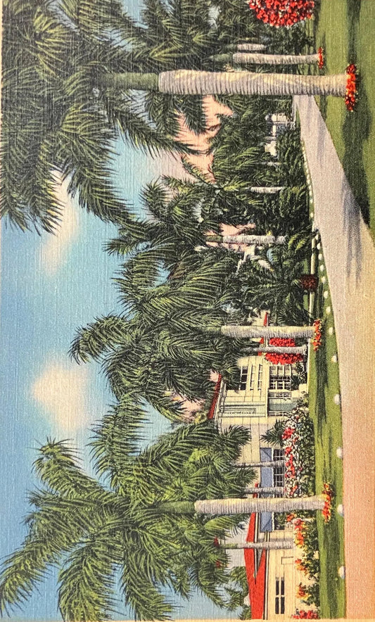 Beautiful Residence Street - Scene on the Sunset Isles in Biscayne Bay - Miami Beach, Florida - Vintage Sunset Postcard