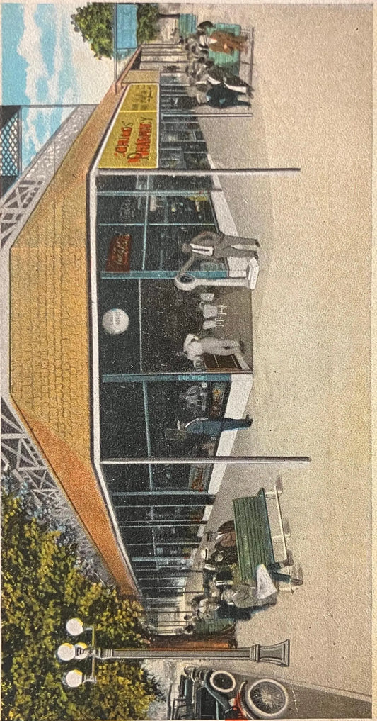 St. Petersburg, Florida, The Sunshine City - Favorite Outdoor Sport - Copyrighted by Asheville Post Card Co. - Vintage Postcard