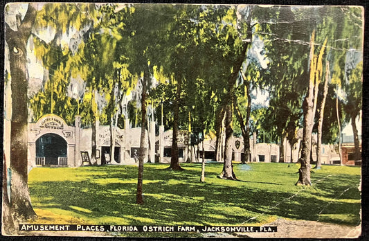 Amusement Places, Florida Ostrich Farm, Jacksonville, Florida - Vintage Farm Postcard