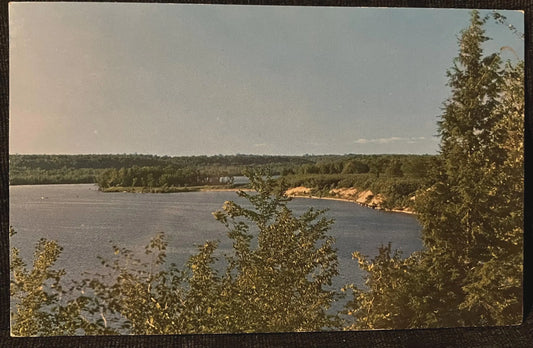 Michigan’s Hodenpyle Backwater on the Manistee River - Vintage Nature Postcard