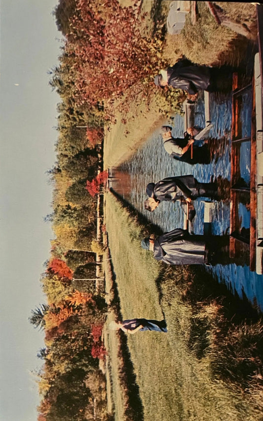 State Trout Rearing Farm in Baldwin, Michigan - Vintage Trout Farm Postcard