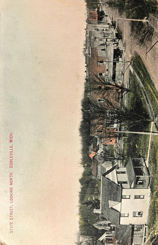 State Street, Looking North, Gobleville, Michigan - E. C. Kropp Co. - Vintage Postcard