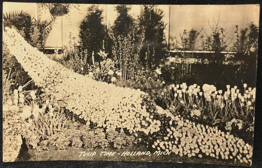 Tulip Time - Holland, Michigan - Vintage Postcard