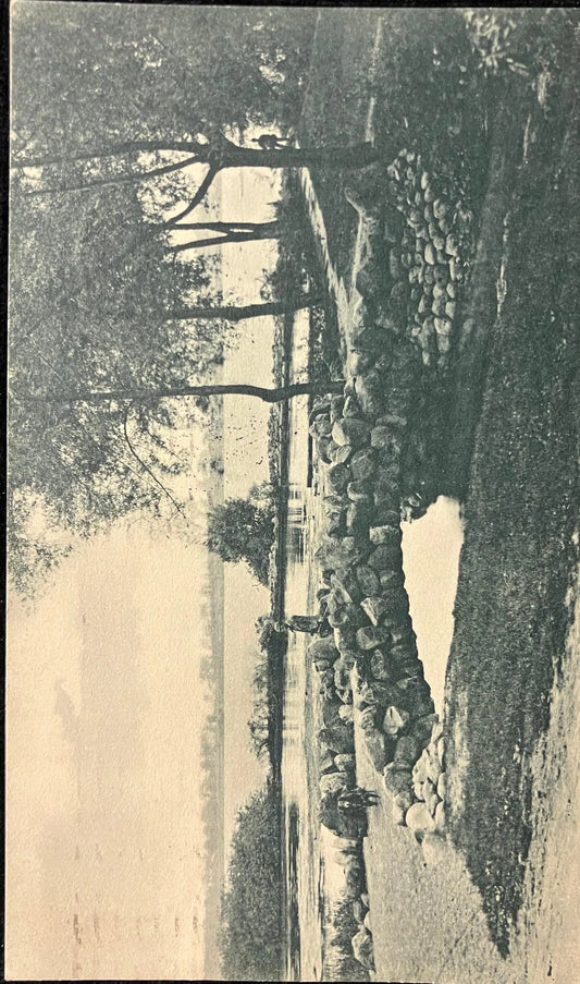 Niagara River and Willow Island Bridge - Photo: H. L. Woehler - Buffalo, New York- Vintage Postcard