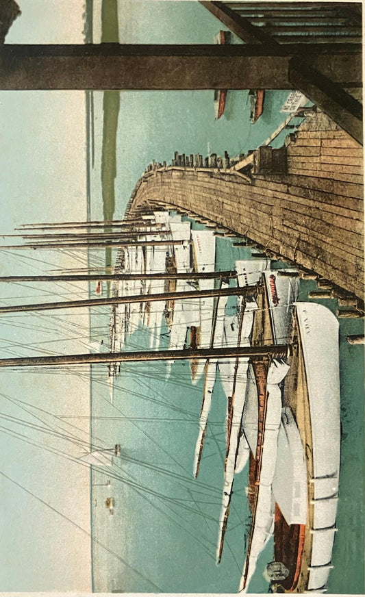 The Fleet, Beach Haven, New Jersey - Vintage Postcard