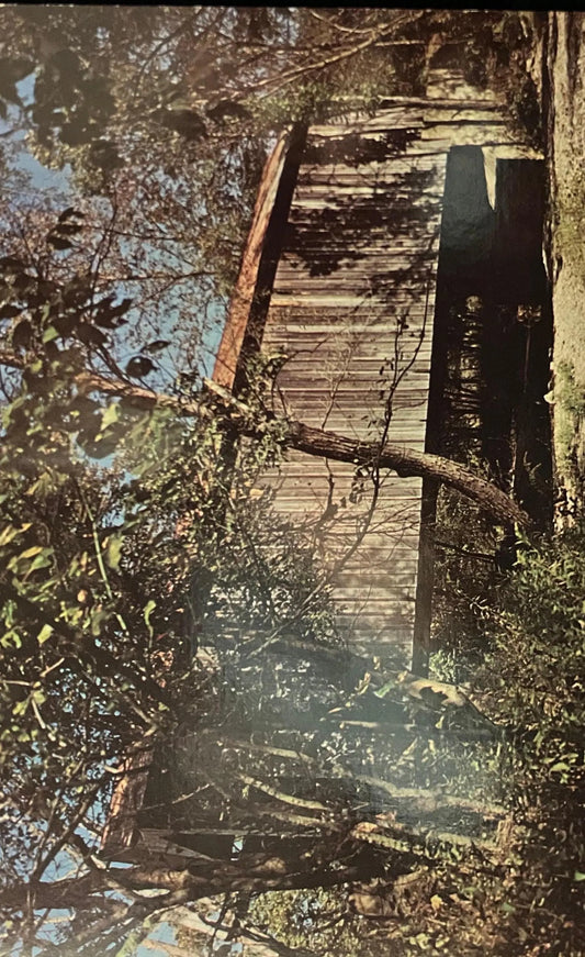 Marshall Bridge in Parke County, Indiana - Photo by John V. Pontiere Jr. - Vintage Covered Bridge Postcard