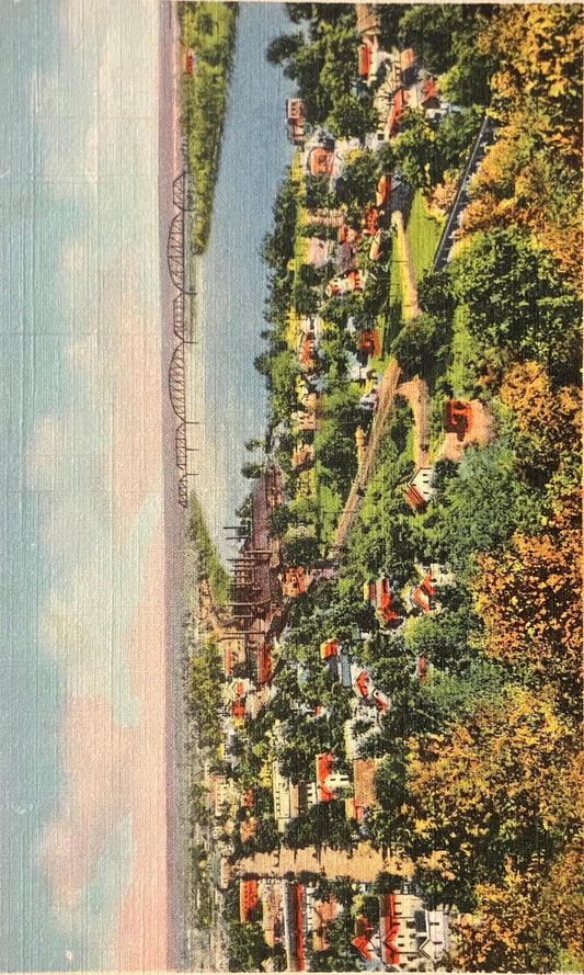 Bird's Eye View of New Albany, Indiana and Ohio River from Silver Hills - Vintage Postcard