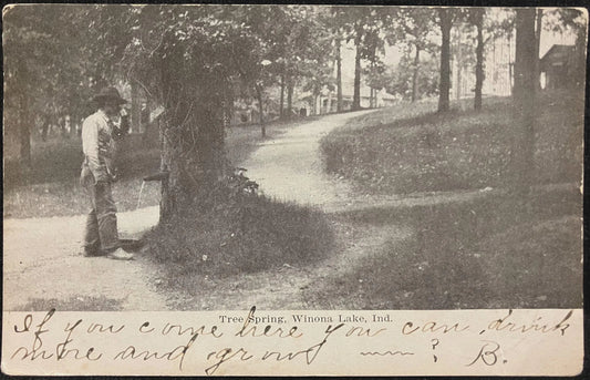 Tree Spring, Winona Lake, Indiana - Vintage Postcard