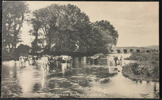 Inchigeela Bridge, Co. Cork, Ireland - Vintage Bridge Postcard