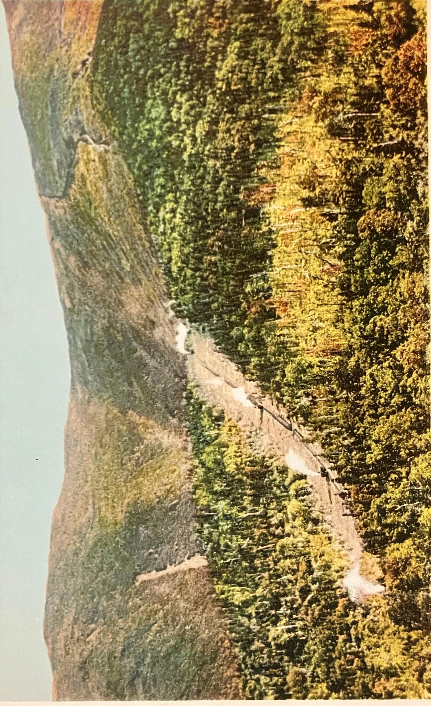 Trains Ascending Mt. Washington, White Mountains, New Hampshire - Copr. Detroit Publishing Co. - Vintage Scenic Postcard
