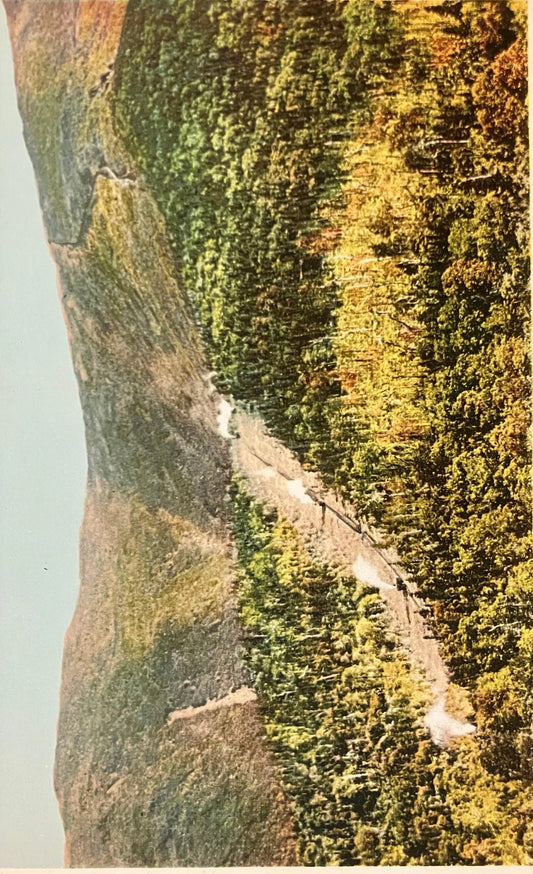 Trains Ascending Mt. Washington, White Mountains, New Hampshire - Copr. Detroit Publishing Co. - Vintage Scenic Postcard