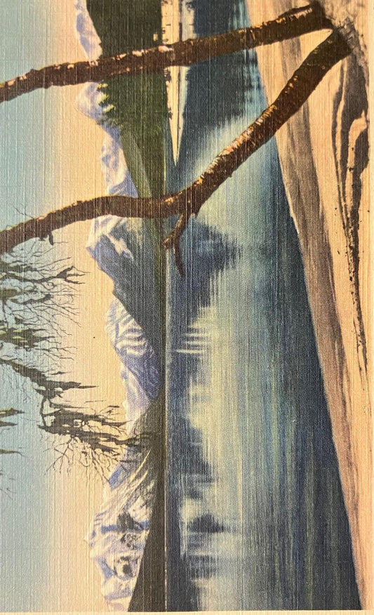 Lake McDonald, Glacier National Park, Montana - Photo by Hileman - Vintage Postcard