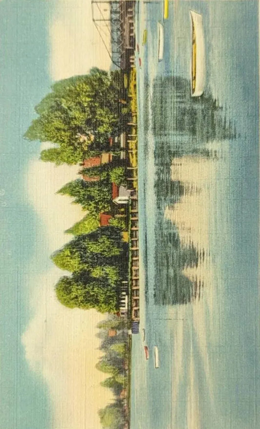 View of Torch Lake Near Traverse City, Michigan - Vintage Scenic Postcard