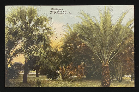 Manhattan Hotel Grounds, St. Petersburg, Florida - Vintage Postcard