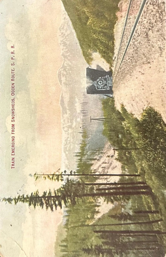 Train Emerging from Snow sheds, Ogden Route, S. P. R. R. - Vintage Postcard