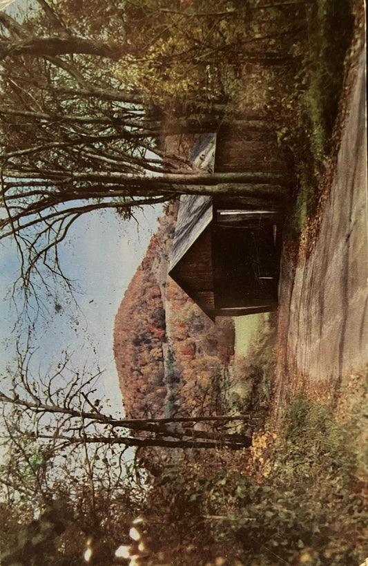 Covered Bridge in Autumn, Chelsea, Vermont - Vintage 1950s Bridge Postcard