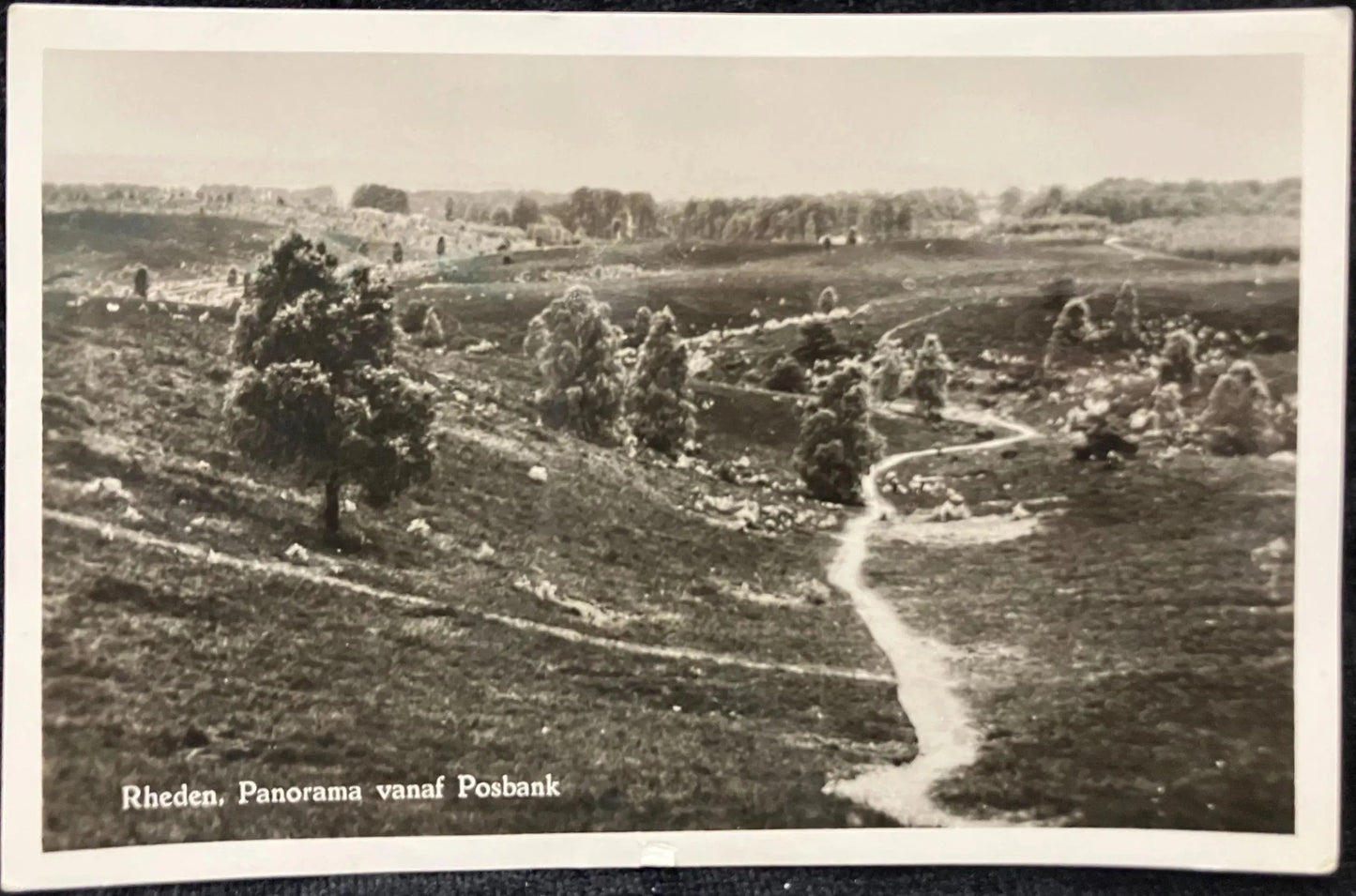 RPPC - Rheden, DE Steeg Panorama vanaf Posbank- Vintage International Real Photo Postcard