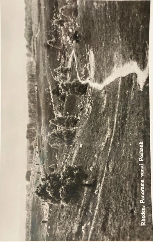 RPPC - Rheden, DE Steeg Panorama vanaf Posbank- Vintage International Real Photo Postcard