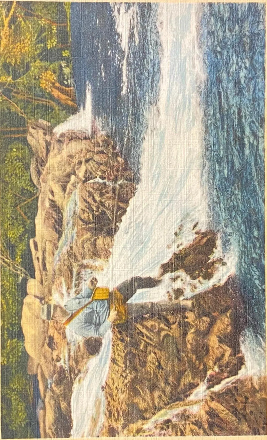 Trout Fishing In One of the Numerous Streams - In The Smoky Mountains National Park - Vintage Postcard