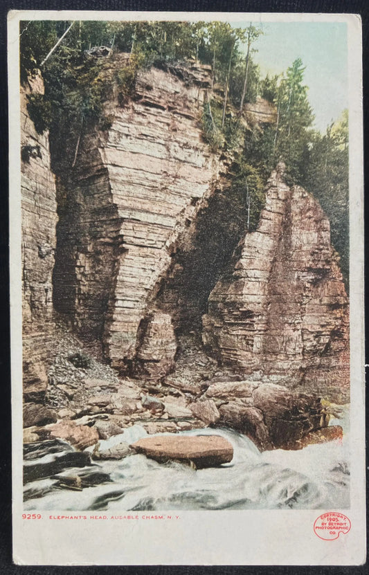 Elephant's Head - Ausable Chasm, New York - Vintage Postcard