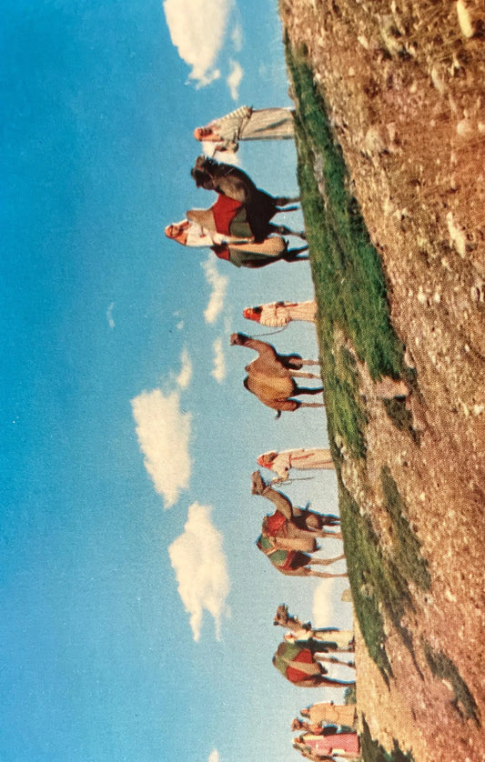 Camel Caravan - Spearfish, South Dakota - Vintage Postcard