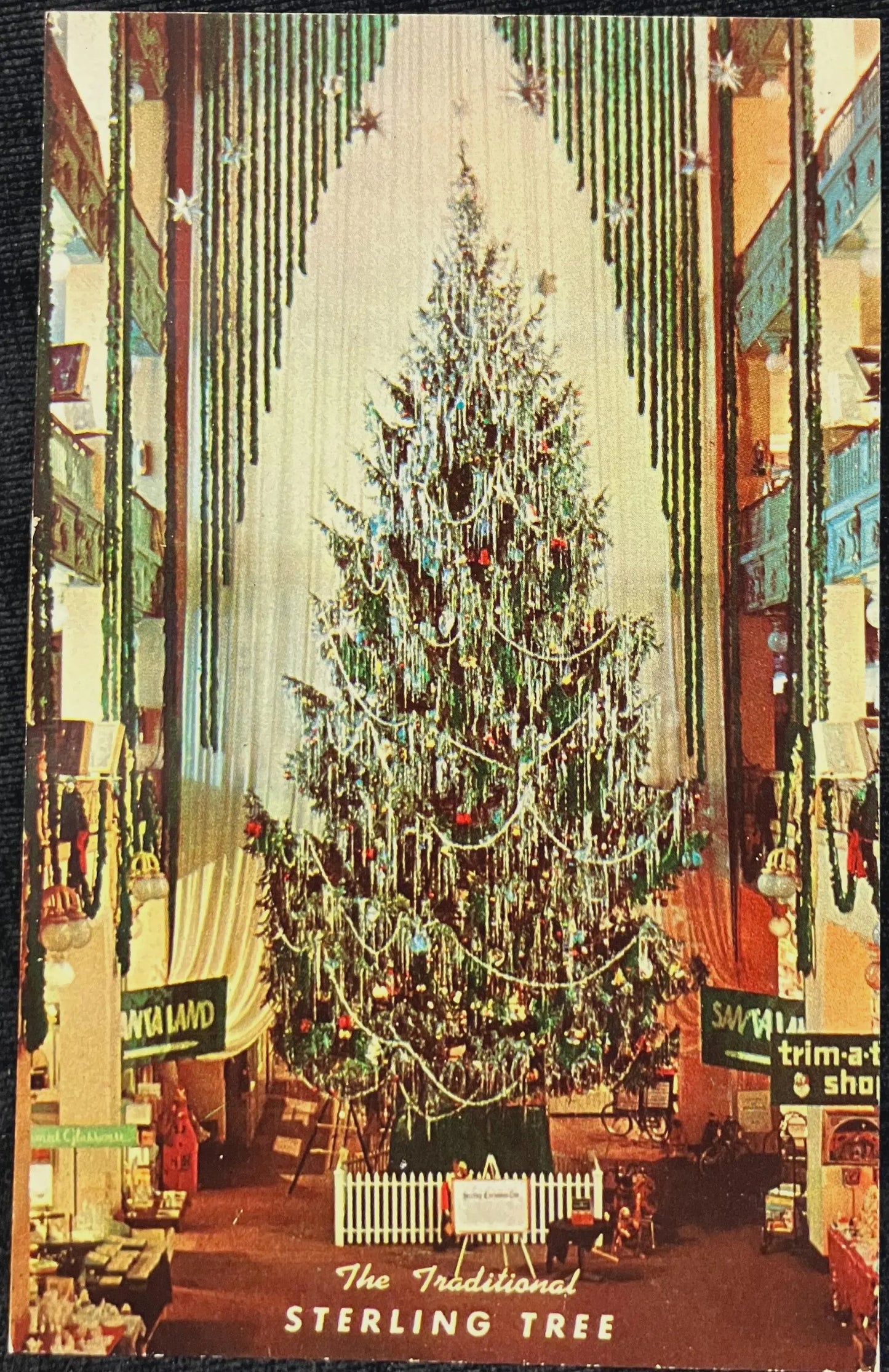 The Traditional Sterling Tree, Cleveland, Ohio - Vintage Postcard