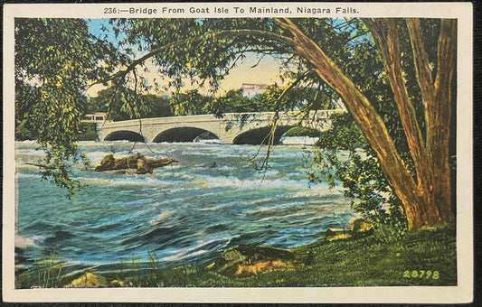 Bridge From Goat Isle to Main land, Niagara Falls, New York - Vintage Nature Postcard