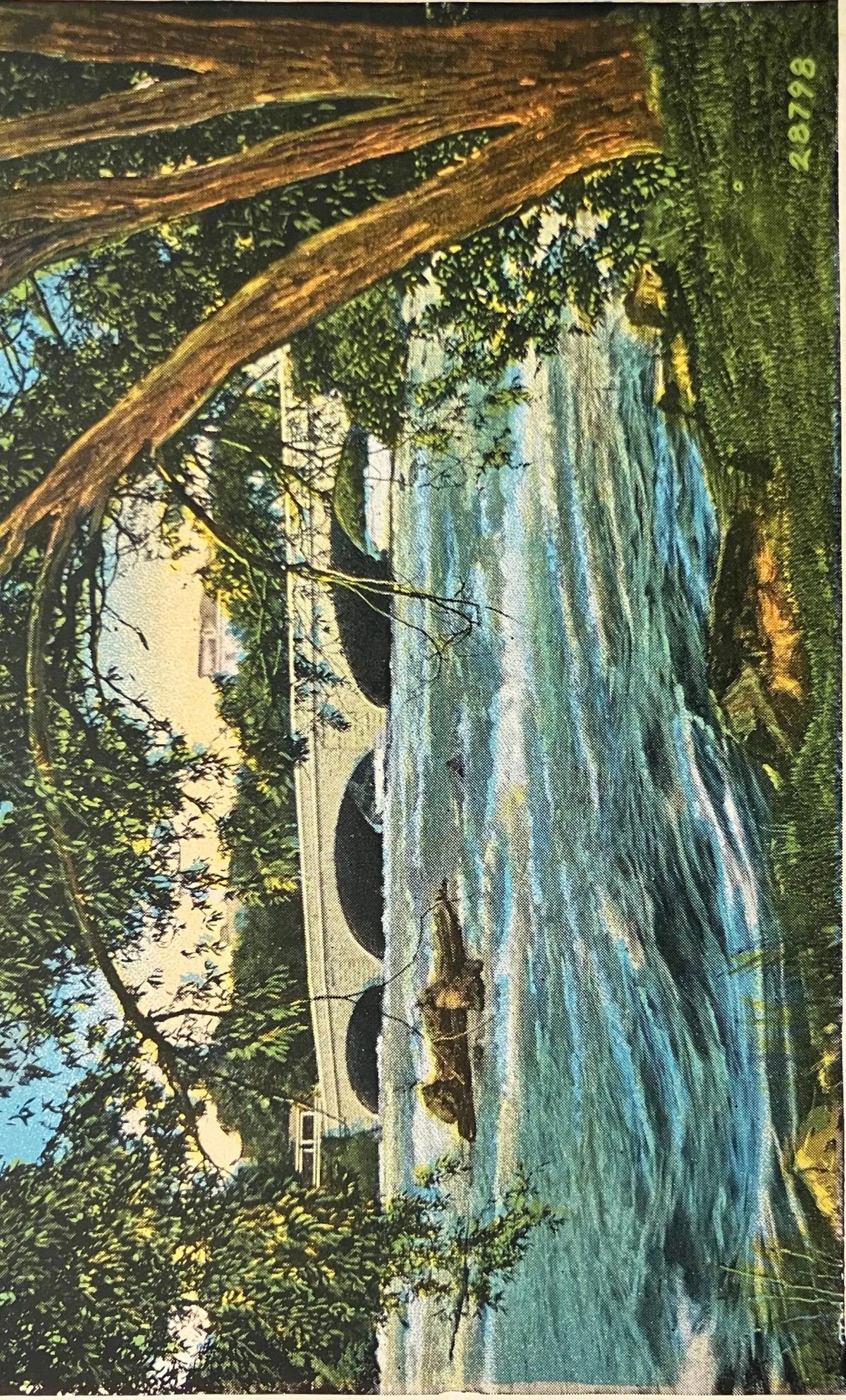 Bridge From Goat Isle to Main land, Niagara Falls, New York - Vintage Nature Postcard