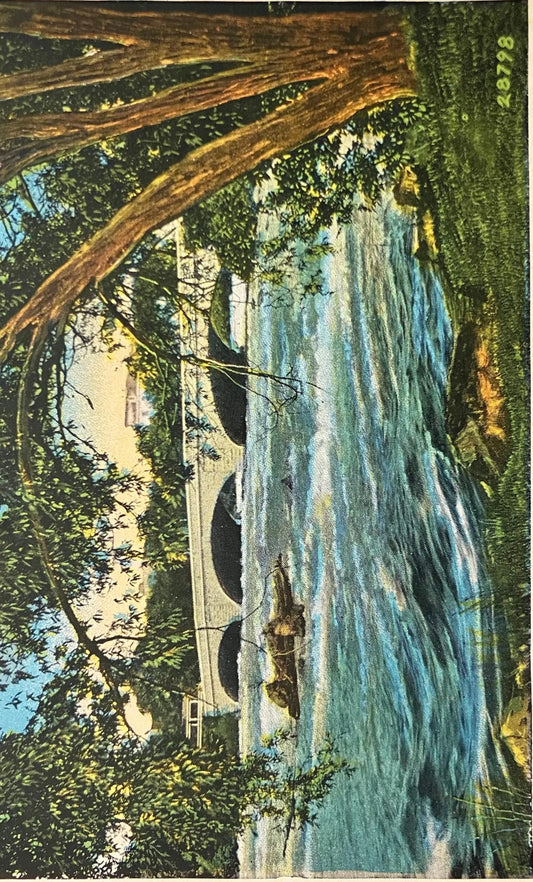 Bridge From Goat Isle to Main land, Niagara Falls, New York - Vintage Nature Postcard