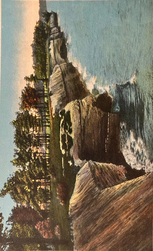 Scene on Rocky River, Lakewood, Ohio - Vintage Postcard