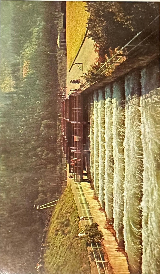 Fish Ladders at Bonneville Dam, Columbia River dividing Oregon and Washington - Vintage Postcard