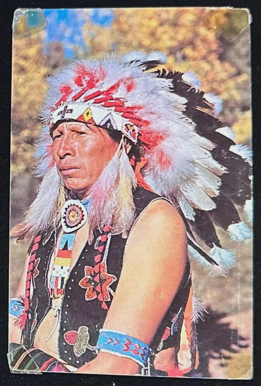 Indian in Full Dress, South Dakota - Vintage Postcard