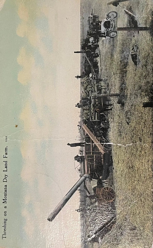 Threshing on a Montana Dry Land Farm - Vintage Postcard