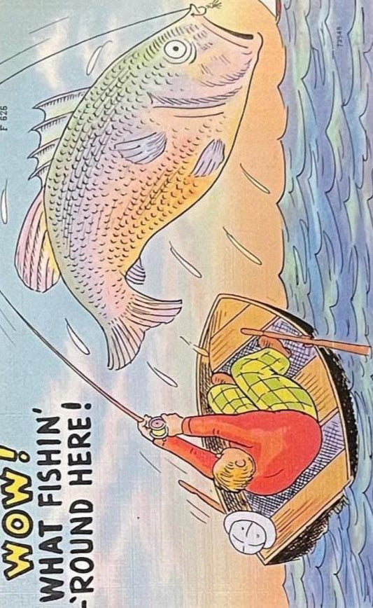 Wow! What Fishin' 'Round Here! - Vintage Postcard