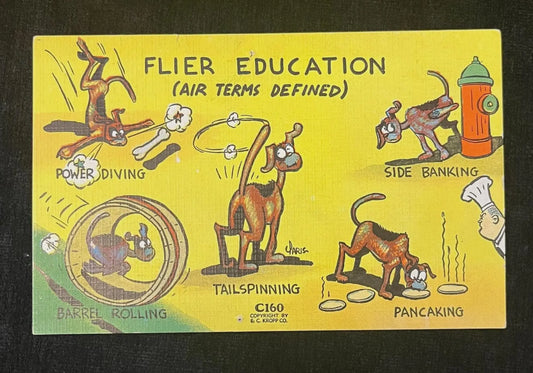 Flier Education - Vintage Military Humor Postcard