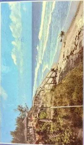 Greetings from Vero Beach, Florida - Vintage Postcard