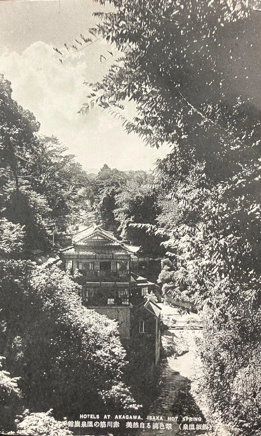 RPPC - Hotels at Akagawa, Isaka Hotel Spring - Made in Japan - Vintage International Postcard