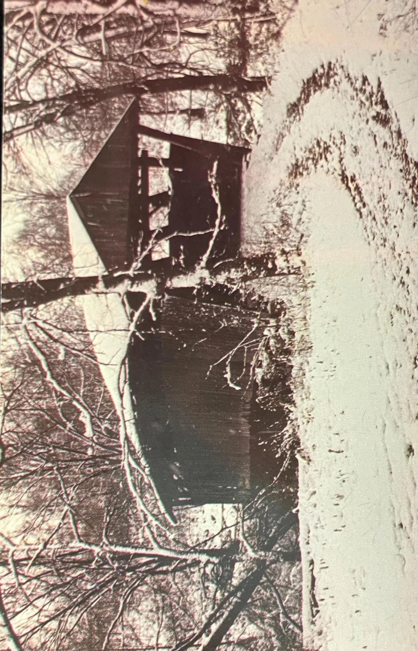 Covered Bridge in Coschocton County, Ohio - Doughty Creek Bridge - Vintage Bridge Postcard