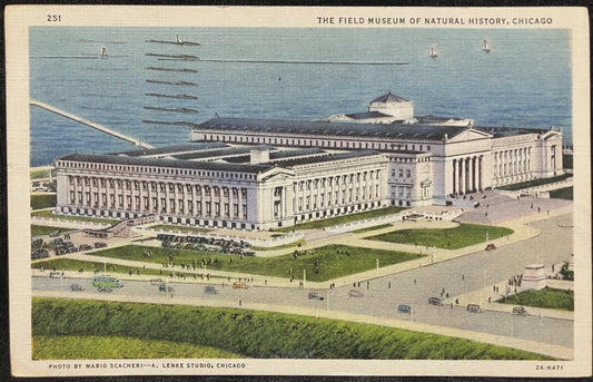 The Field Museum of Natural History, Chicago - Photo: Mario Scacherl - A. Lenke Studio, Chicago - Vintage Museum Postcard