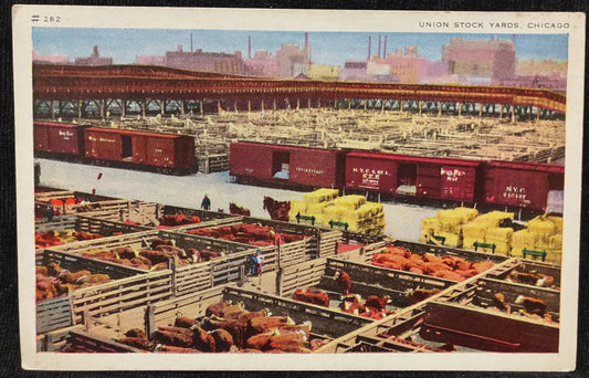 Union Stock Yards, Chicago, Illinois - Vintage Postcard