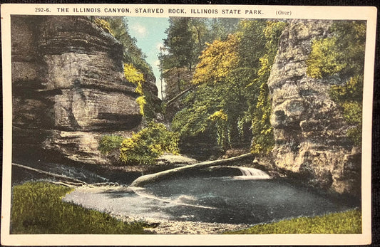 The Illinois Canyon, Starved Rock, Illinois State Park - Vintage Park Postcard