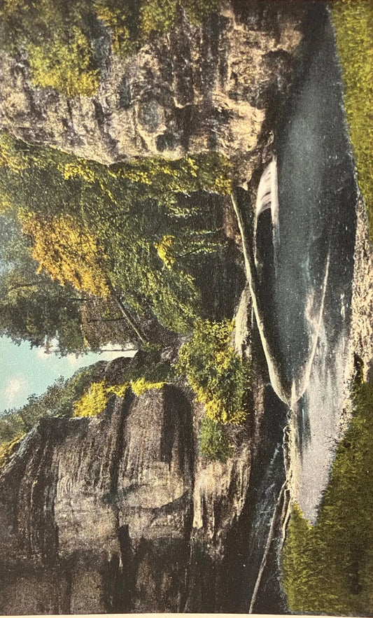 The Illinois Canyon, Starved Rock, Illinois State Park - Vintage Park Postcard